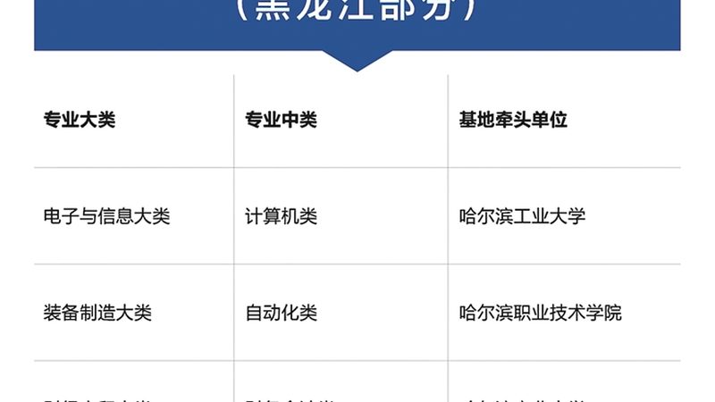 叉车安全操作规程与标准：保障作业安全的基石